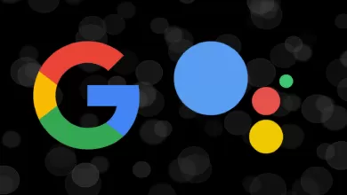google assistant history